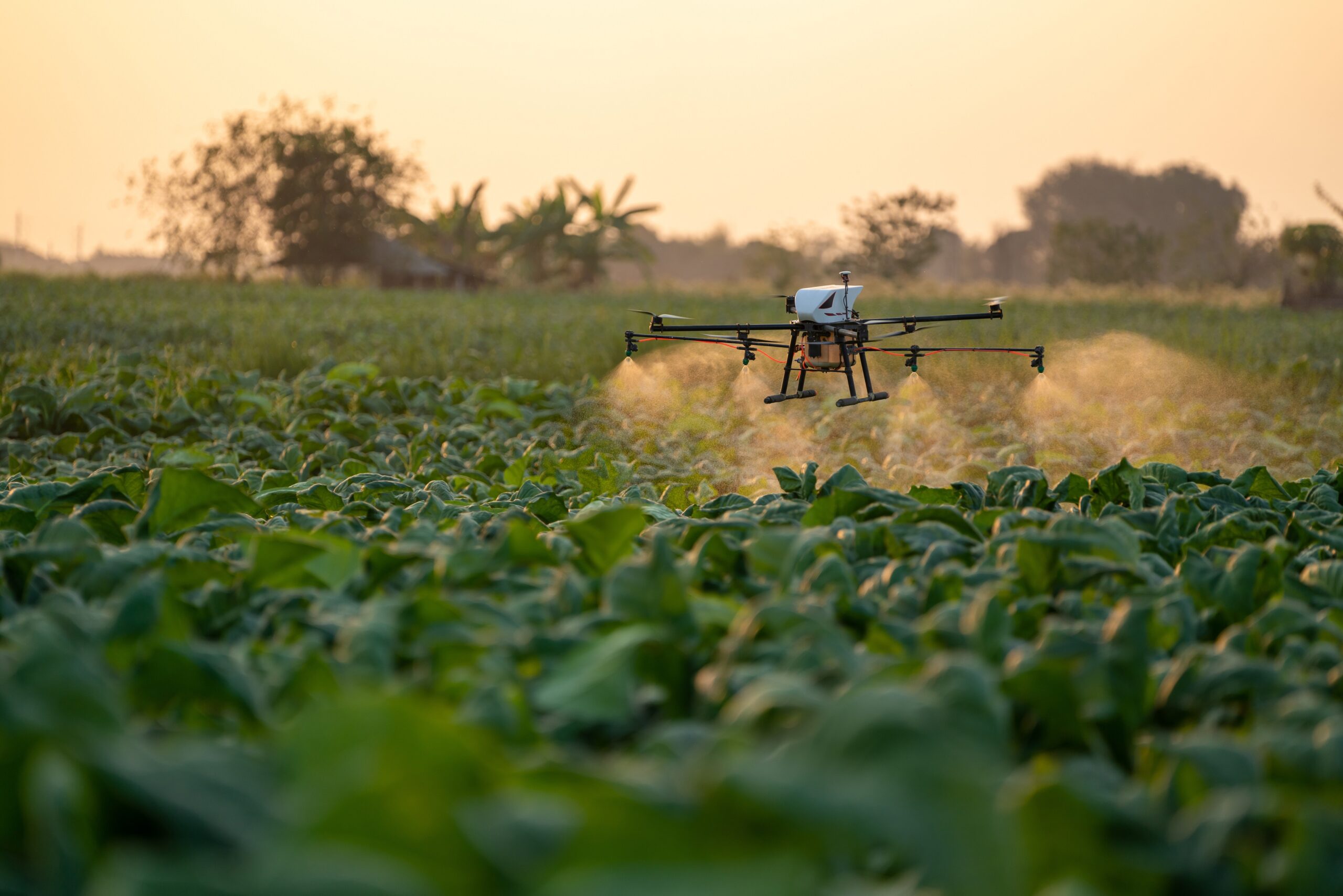 Ποιoς Είναι ο Μισθός Ενός Χειριστή Drone και Ποιες Είναι οι Επαγγελματικές Ευκαιρίες;